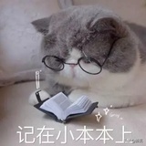 凉夕