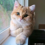 圈圈圆圆圈圈