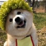 柚柚