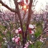 受益一生的生命