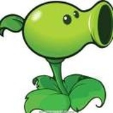 🎾🎾🎾🎾🎾🎾