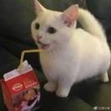 日月之行