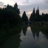 叶心