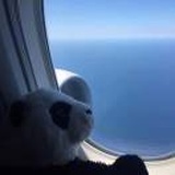 茕