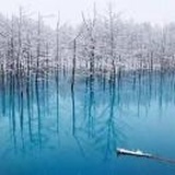 吃不到的酸葡萄