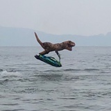 恐龙冲浪高手
