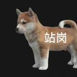 学习