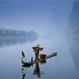 小鱼儿