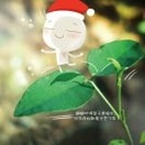 小开花
