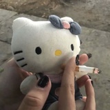 别惹你蝶