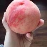 秋刀鱼