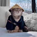 未来会更好