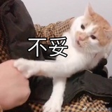 我反对（拿瓜子