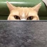 南门口