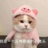 东墙
