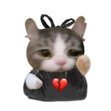 收留心碎小猫