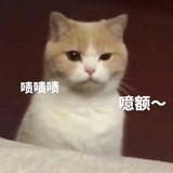 朝暮三月
