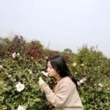 free~
