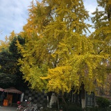 豆友197719603