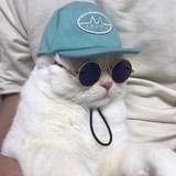 清晨的鸣笛声