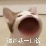 甜崽