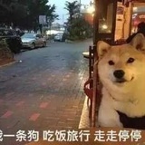 戴春英