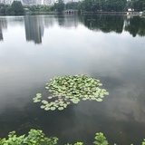 暖色大橘