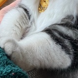 素质低下的毒妇
