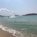 赵