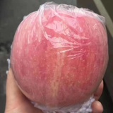 好想养只猫