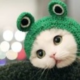 请把我拉黑～