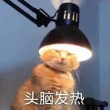 蓝大大
