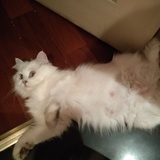 啦啦啦
