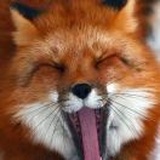 云出川