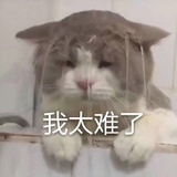 豆友197903048