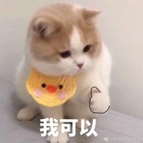甜梨酱