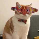 tantan