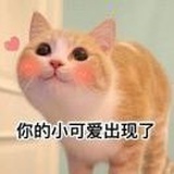 A艺菲
