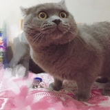 江同学