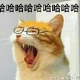 庞