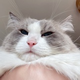小王