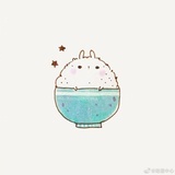 小暑