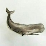 程熠