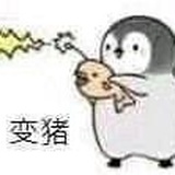 山药精