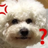 你不爽我就爽了