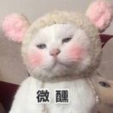 卡鲁秋