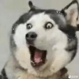 胡英俊