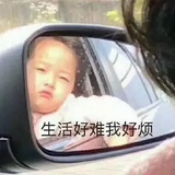 两个菜包.