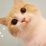 飛
