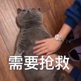 呲果果